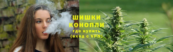 PSILOCYBIN Алексеевка