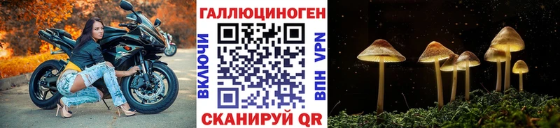 Галлюциногенные грибы мухоморы  магазин продажи   Нижний Новгород 